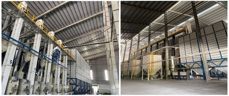 gao-lua-tom-st25-agh-4